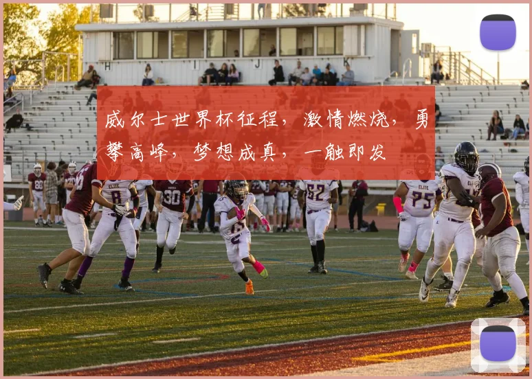 威尔士世界杯征程，激情燃烧，勇攀高峰，梦想成真，一触即发