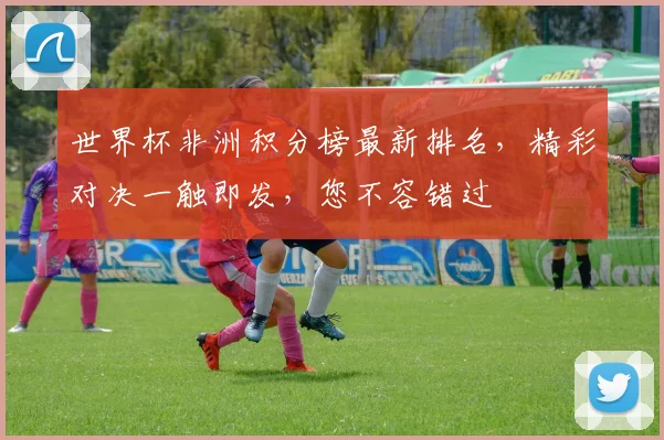 世界杯非洲积分榜最新排名，精彩对决一触即发，您不容错过